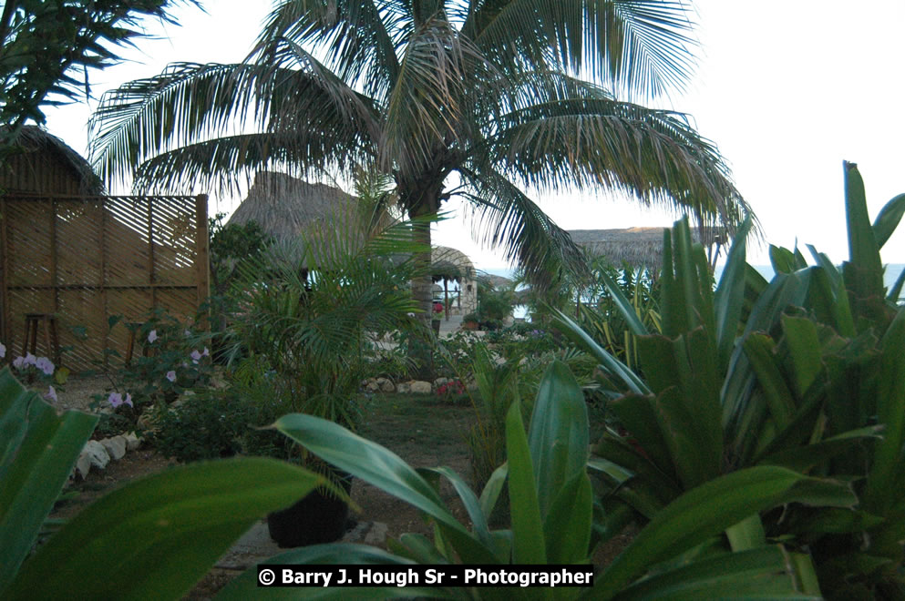 Catcha Fallen Star Resort Rises from the Destruction of Hurricane Ivan, West End, Negril, Westmoreland, Jamaica W.I. - Photographs by Net2Market.com - Barry J. Hough Sr. Photojournalist/Photograper - Photographs taken with a Nikon D70, D100, or D300 -  Negril Travel Guide, Negril Jamaica WI - http://www.negriltravelguide.com - info@negriltravelguide.com...!