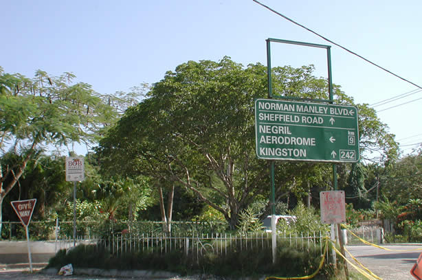 A Photo Walk along Negril's Famous Seven Mile Beach - Negril Travel Guide, Negril Jamaica WI - http://www.negriltravelguide.com - info@negriltravelguide.com...!