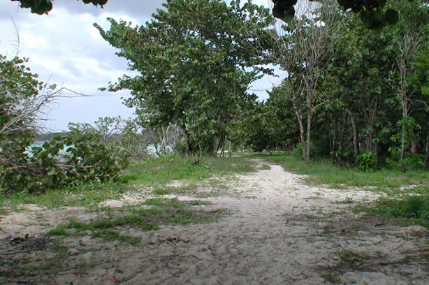 A Photo Walk along Negril's Famous Seven Mile Beach - Negril Travel Guide, Negril Jamaica WI - http://www.negriltravelguide.com - info@negriltravelguide.com...!