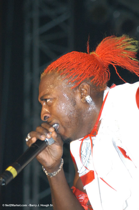 Elephant Man - Red Stripe Reggae Sumfest 2005 - Dancehall Night - July 21th, 2005 - Negril Travel Guide, Negril Jamaica WI - http://www.negriltravelguide.com - info@negriltravelguide.com...!